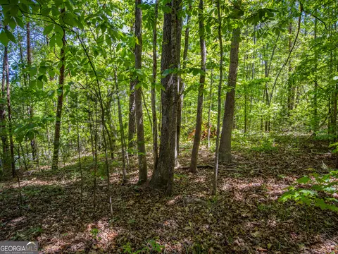1 01 Acre Oak Dr, Toccoa, GA 30577 photo 13