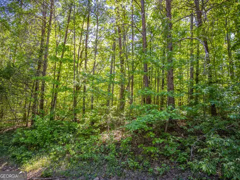 1 01 Acre Oak Dr, Toccoa, GA 30577 photo 15