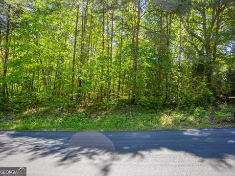 1 01 Acre Oak Dr, Toccoa, GA 30577 photo 12