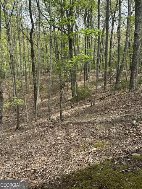 Lt B87 Laurel Lane, Ellijay, GA 30536