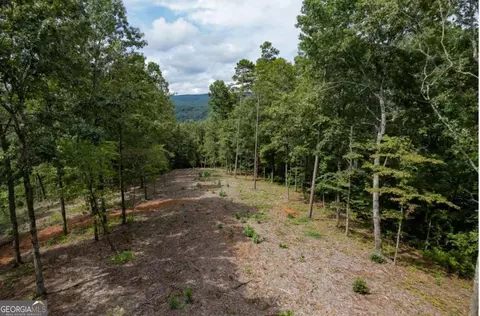 lot315 Pebble Trce #315, Talking Rock, GA 30175