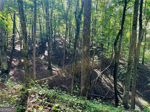 7 123 Acres Halls Mill Rd, Dahlonega, GA 30533