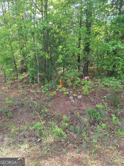 0 Hester Rd, Elberton, GA 30635