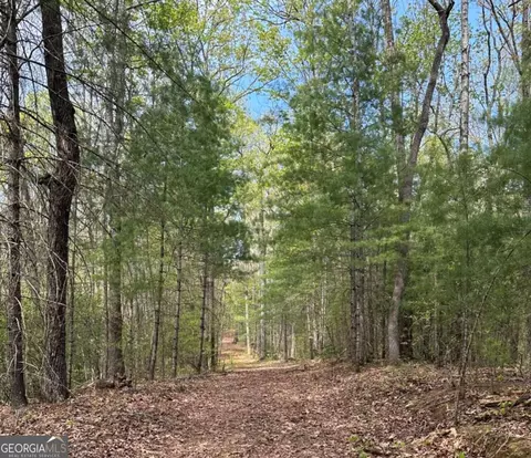 lot20 Big Ben Rd #20, Ellijay, GA 30540
