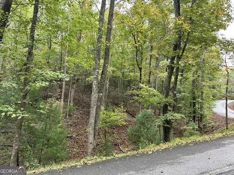 0 Lower Gap Rd #W16, Sautee Nacoochee, GA 30571