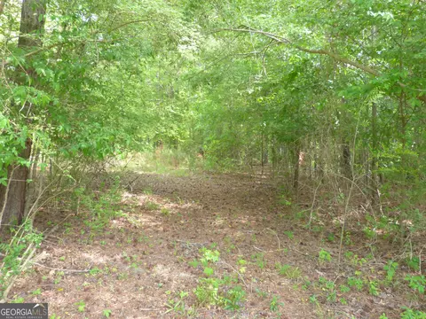 0 Winfield Rd, Appling, GA 30802 photo 3