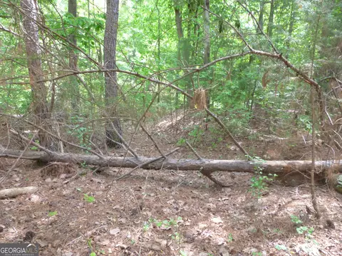 0 Winfield Rd, Appling, GA 30802 photo 6