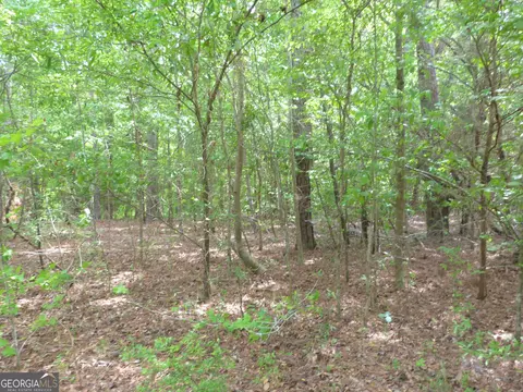 0 Winfield Rd, Appling, GA 30802 photo 5
