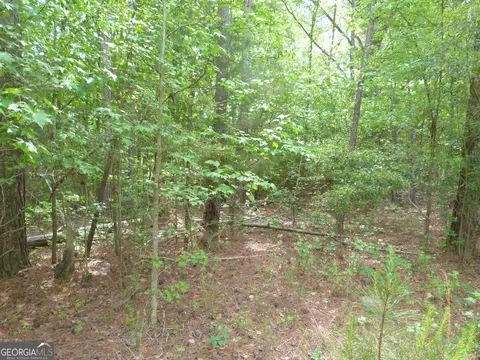 0 Winfield Rd, Appling, GA 30802