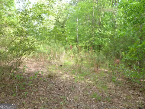 0 Winfield Rd, Appling, GA 30802 photo 4