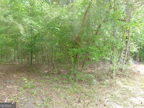 0 Winfield Rd, Appling, GA 30802 photo 2