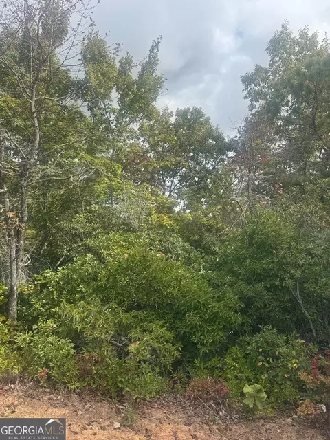 lot16 Brown Hawk Dr, Clayton, GA 30525