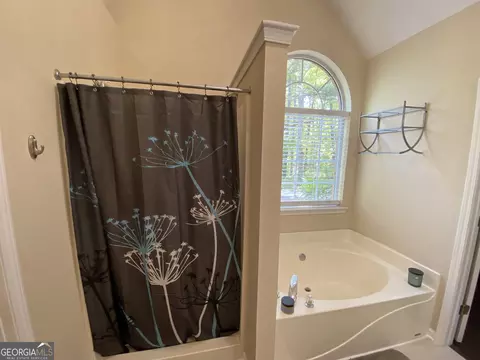 Bath - 312 Cascade Ct, Hampton, GA 30228 photo 3 of 5