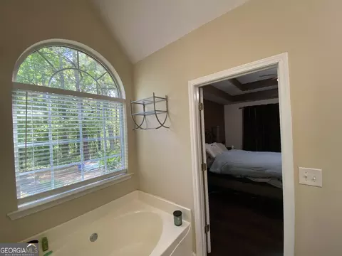 Bath - 312 Cascade Ct, Hampton, GA 30228 photo 2 of 5