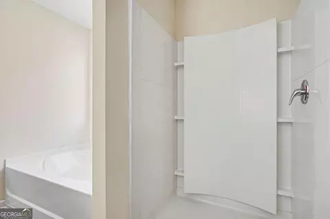 Bath - 1160 Pebble Ridge Dr, Hampton, GA 30228 photo 3 of 3