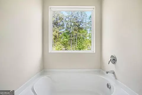 Bath - 1160 Pebble Ridge Dr, Hampton, GA 30228 photo 2 of 3