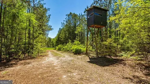 0 Wainwright Rd, Butler, GA 31006