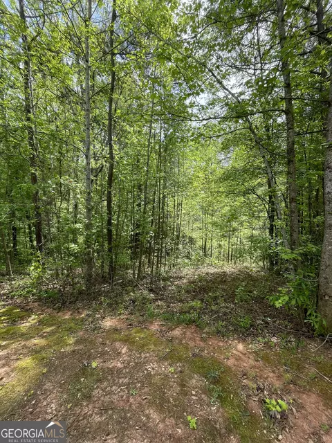 205 White Birch Dr, Covington, GA 30016