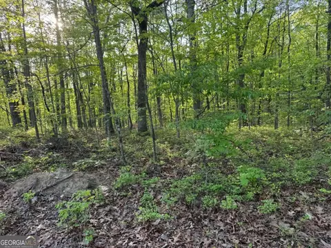 1440 Hanna Dr, Ranger, GA 30734