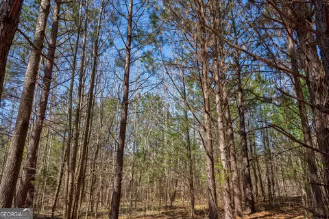 0 Poplar St, Monroe, GA 30655 photo 6