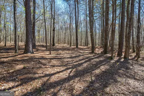 0 Poplar St, Monroe, GA 30655 photo 11