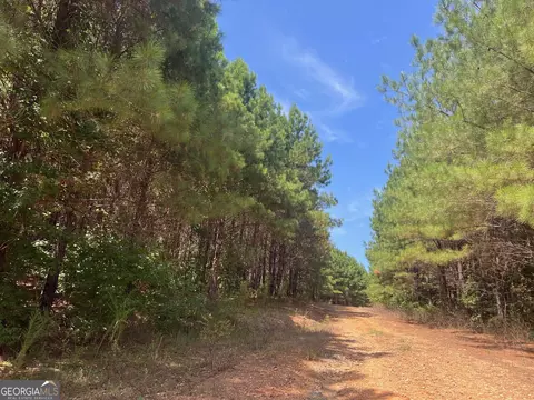 0 Charles Reeves Rd, Roberta, GA 31078 photo 6