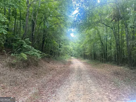 0 Charles Reeves Rd, Roberta, GA 31078 photo 2