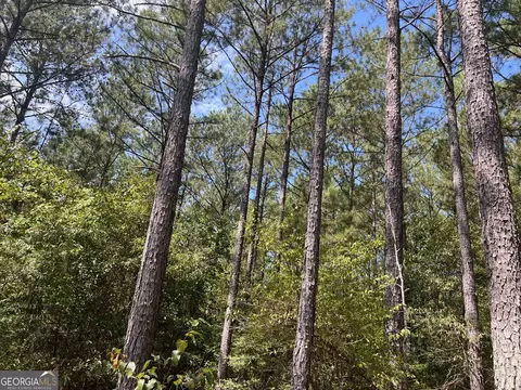 0 Charles Reeves Rd, Roberta, GA 31078 photo 4