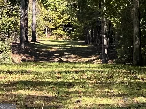 0 Charles Reeves Rd, Roberta, GA 31078 photo 5
