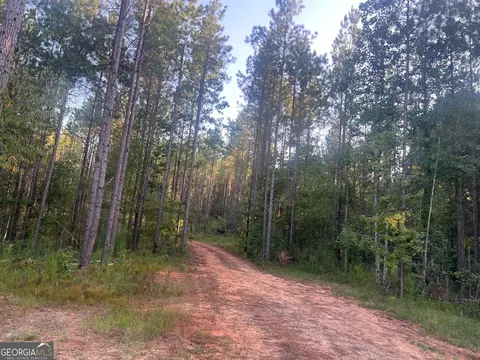 0 Charles Reeves Rd, Roberta, GA 31078 photo 3
