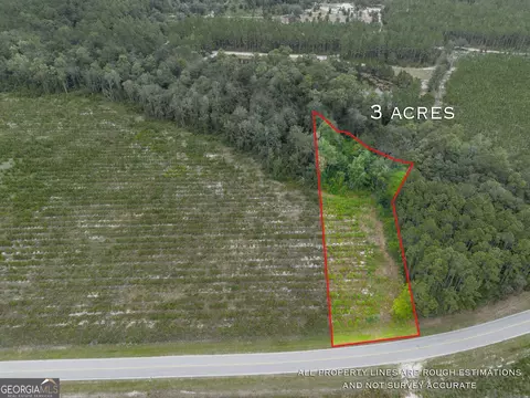 Tract 1 River Road, Folkston, GA 31537
