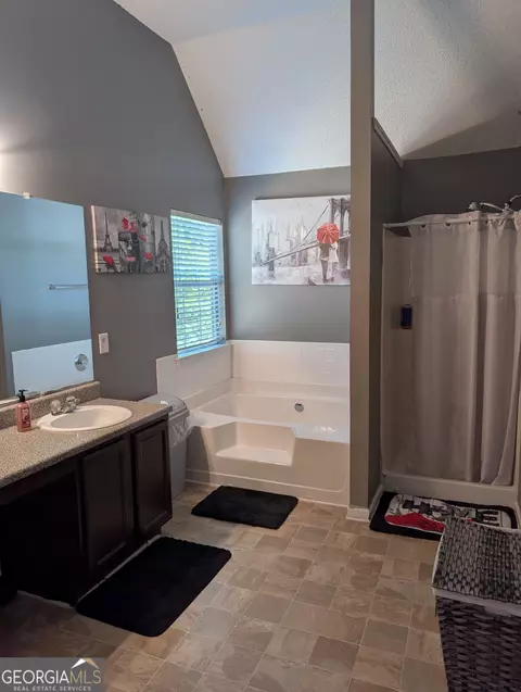 Bath - 405 Browning Field Way, Hampton, GA 30228 photo 2 of 5