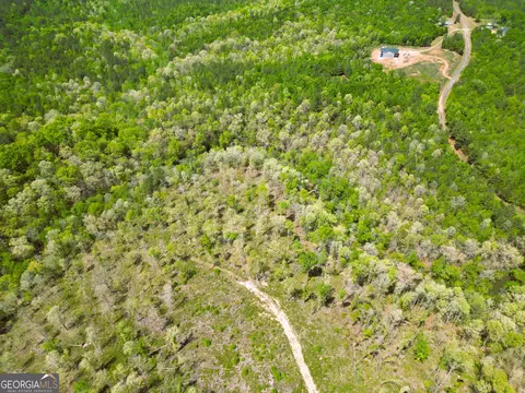 0 Sand Hill Rd, Bowman, GA 30624 photo 65