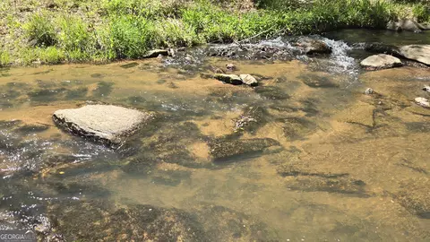 0 Sand Hill Rd, Bowman, GA 30624 photo 6