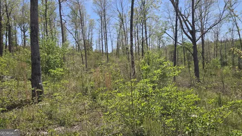 0 Sand Hill Rd, Bowman, GA 30624 photo 28