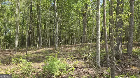 0 Sand Hill Rd, Bowman, GA 30624 photo 26