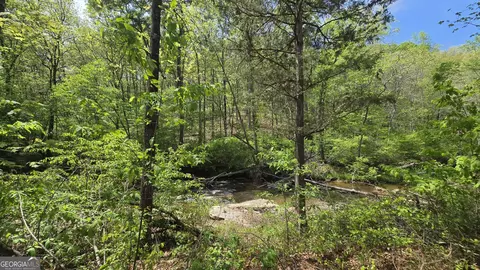 0 Sand Hill Rd, Bowman, GA 30624 photo 22