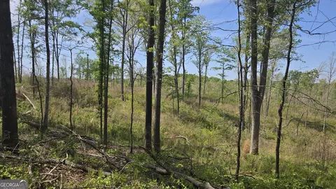 0 Sand Hill Rd, Bowman, GA 30624 photo 24