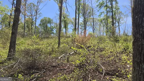 0 Sand Hill Rd, Bowman, GA 30624 photo 30