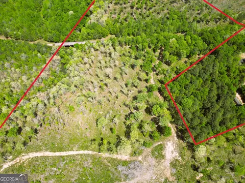 0 Sand Hill Rd, Bowman, GA 30624 photo 52