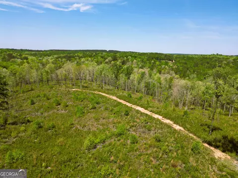 0 Sand Hill Rd, Bowman, GA 30624 photo 59