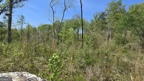 0 Sand Hill Rd, Bowman, GA 30624 photo 37