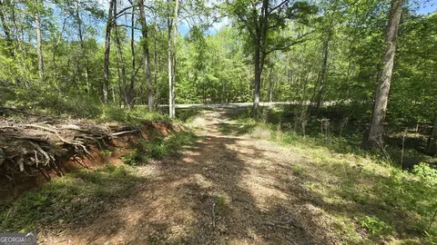 0 Sand Hill Rd, Bowman, GA 30624 photo 45