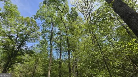 0 Sand Hill Rd, Bowman, GA 30624 photo 21