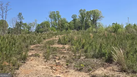 0 Sand Hill Rd, Bowman, GA 30624 photo 34