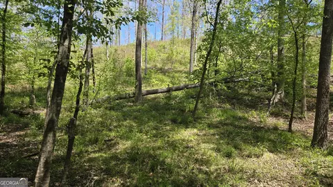 0 Sand Hill Rd, Bowman, GA 30624 photo 43