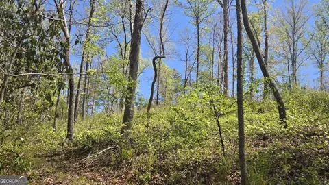 0 Sand Hill Rd, Bowman, GA 30624 photo 32