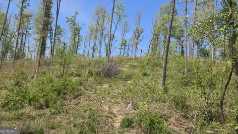 0 Sand Hill Rd, Bowman, GA 30624 photo 14