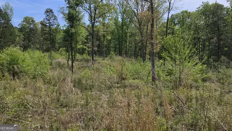 0 Sand Hill Rd, Bowman, GA 30624 photo 35