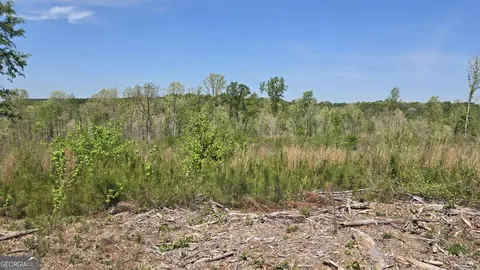 0 Sand Hill Rd, Bowman, GA 30624 photo 25